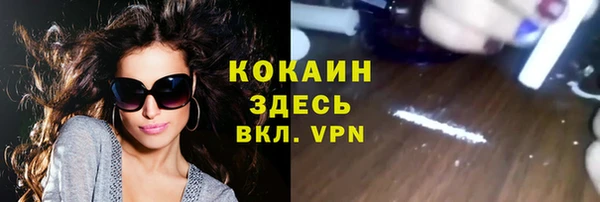 мдпв Киреевск